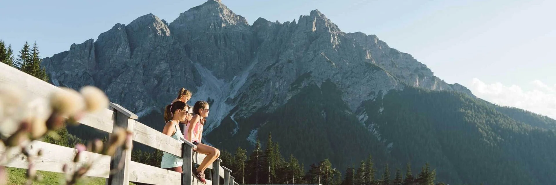 Sommerliche Berglandschaft im Stubaital